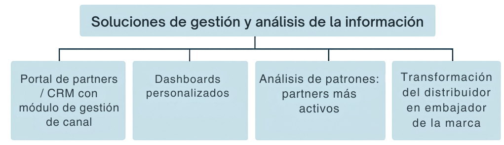 Soluciones de gestión y análisis de la información